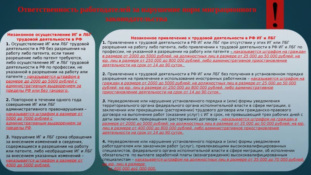 мигранты4